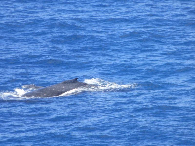 double island point 023