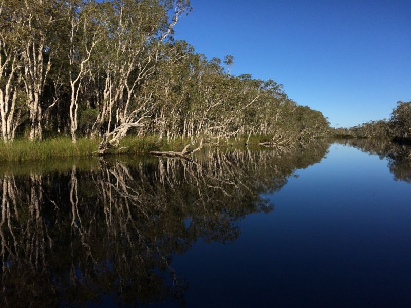 noosa everglades 001