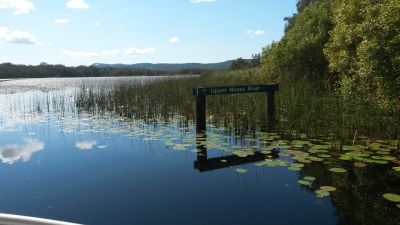 noosa everglades 002