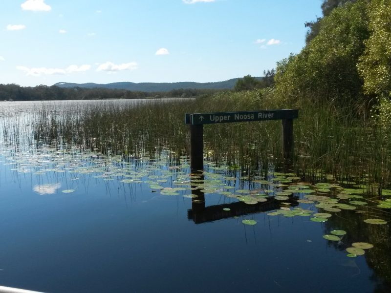 noosa everglades 002
