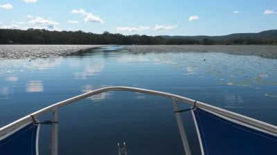 noosa everglades 003