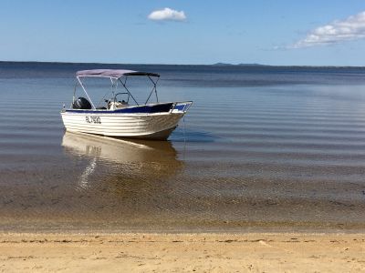 noosa everglades 004