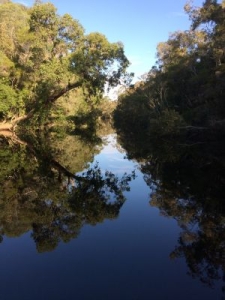noosa everglades 005