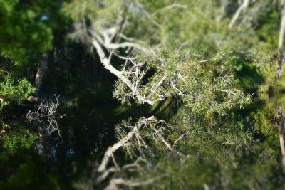 noosa everglades 007