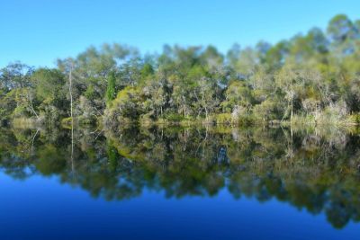 noosa everglades 011