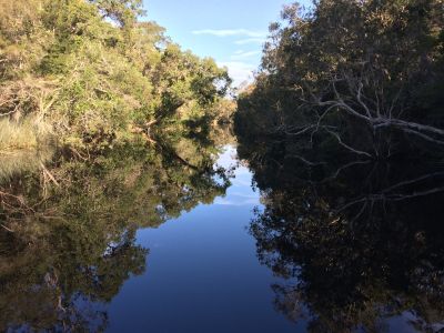 noosa everglades 015