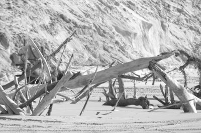 rainbow beach 007