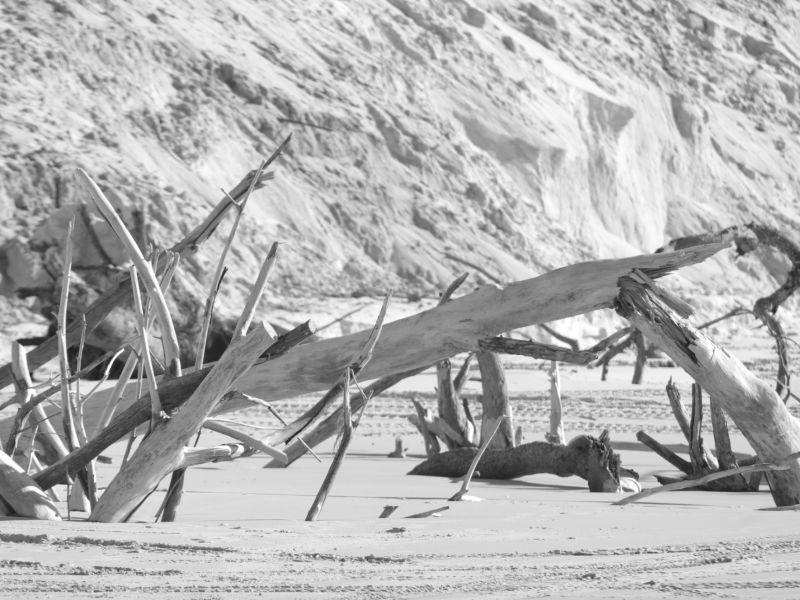 rainbow beach 007
