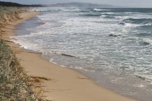 teewah beach 002