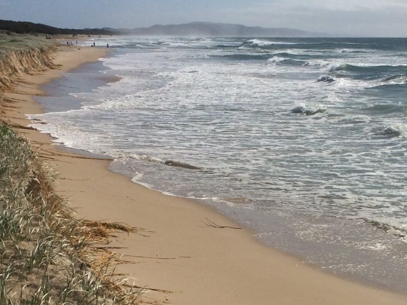 teewah beach 002