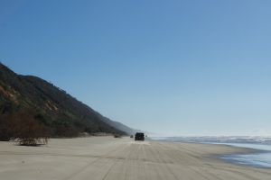 teewah beach 008