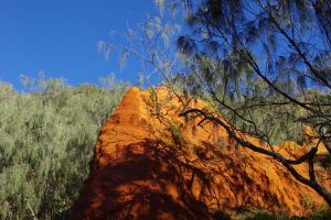teewah beach 015