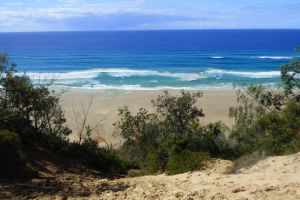 teewah beach 016